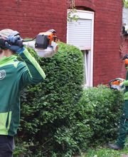Heckenschnitt Kiel.JPG