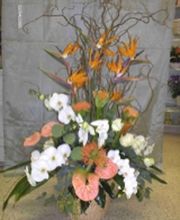 Blumen Jakob Bild 7