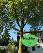 Nadrowski Baumdienst Bild 5