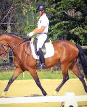 Centre Equestre de Mijanda image 1