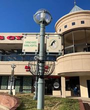 Caring Hands Animal Hospital - Rockville image 6