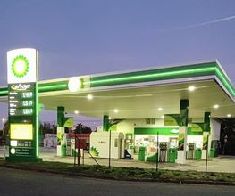 bp imagen 3