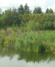 AquaTerra Solutions image 3