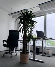 DBD - Deutscher BauDienst Bild 13