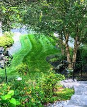 Shepherds View Landscaping & Tree Removal, LLC image 10
