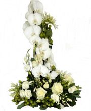 De fleur en fleur image 19