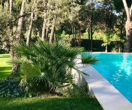 Pool&Paddle imagen 9