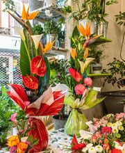 Floraly image 8