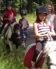 Centre Hippique la Jumenterie image 5