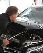 Der Dellen-Exer Bild 12