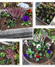 Almeida Giardini Bild 13