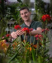 Orchidable di Andrea Martina Bild 12