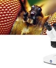 Optique Perret Bild 4