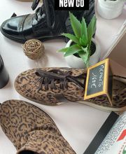 123 Chausser image 12