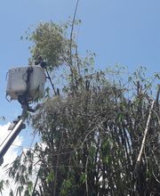 Entreprise Ideal image 1