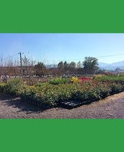 Notre Jardin Propre image 19