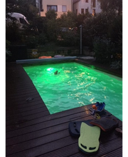 Strauß Willi Bild 1