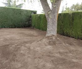 jardineria_segovia-3.jpg