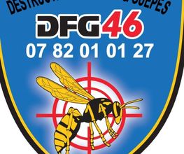 Dfg46 image 2