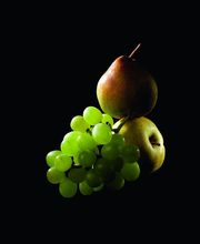 TRANSGOURMET BOURGOGNE image 2