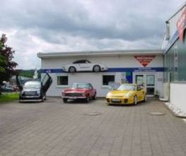 Auto Moszicke Bild 1