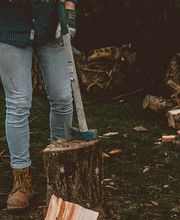 Gartenservice Motz Bild 1