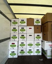 Sorglos Umzüge & Entrümpelungen Bild 11