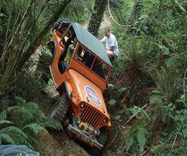 Spécial Jeep image 2