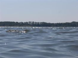 Ferienwohnungen am Mellensee bis 6 Personen