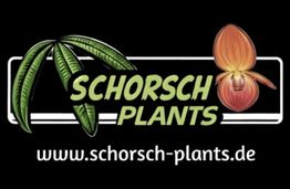 Schorsch Plants