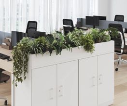 Antilles Bureaux image 3