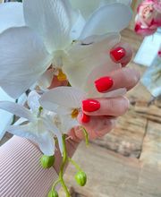 NailAcademy und Studio Bild 1