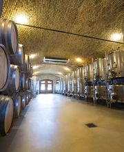 Clos du Château - Dugerdil Lionel & Nathalie Bild 2