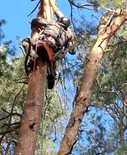 WhatsApp Bild 2025-03-31 um 09.39.24_cd553be7.jpg