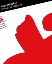 FisioMed Ticino Sagl Bild 5