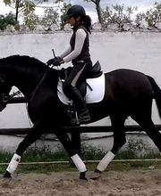 Escuela de Doma Clásica EV imagen 16