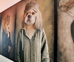 Wonderwall, Vertical Prints, Inh. Kai Dawson Bild 3