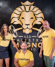 Gallery Cliente