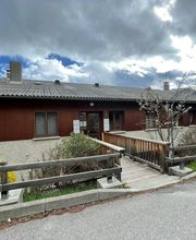 Aude Mercier image 1