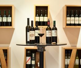 Gialdi Vini SA Bild 12