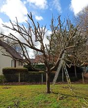 L'instant paysager image 3