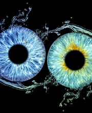 Studio Lichtwert Bild 6