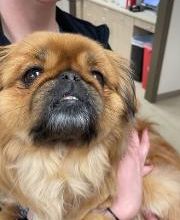 Back Mountain Veterinary Hospital image 6