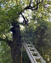 Heimwerker hilft Bild 4