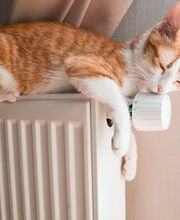 Piscis System imagen 1