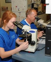 Belton Animal Clinic & Exotic Care Center image 13