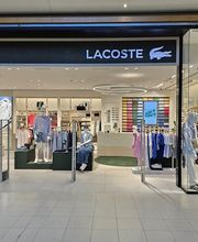 Overall View - Windows (Hero Image)