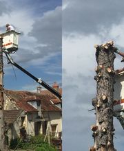 Brac José Elagage Abattage 18 image 19