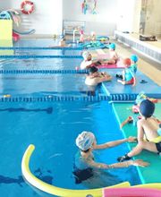 Escuela de natación Menudos Delfines imagen 13