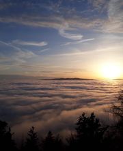 Bestattungen Wenig Bild 3